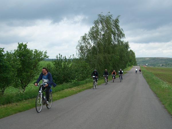 Radweg vom Karsdorf nach Burgscheidungen