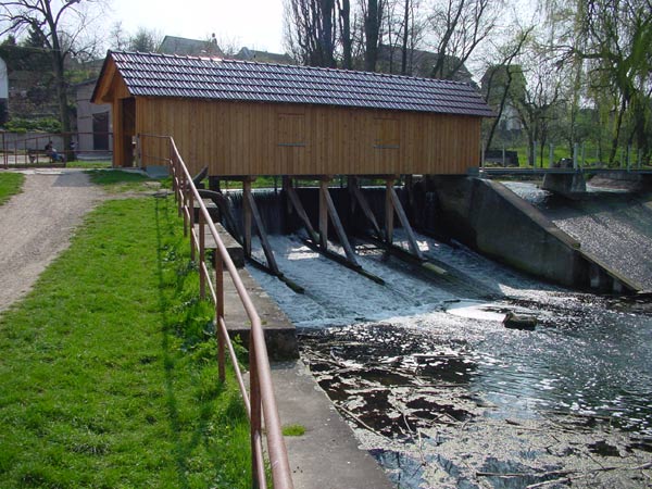 Herbsleben an der Mühle
