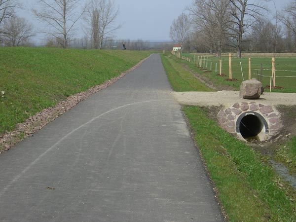 neuer Deichweg in Leubingen