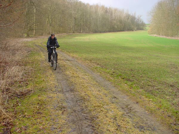Wiesenweg bei Dachrieden