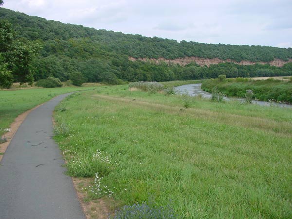 Wangen