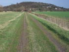 Weg nach Schallenburg