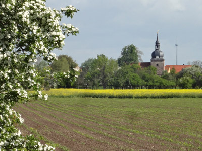 Blick nach Schönfeld Blick nach Schönfeld
