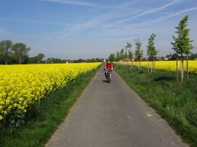 Radweg Altengottern - Thamsbrück Radweg Altengottern - Thamsbrück