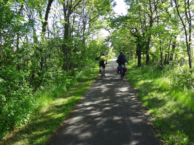 Radweg bei Bretleben Radweg bei Bretleben