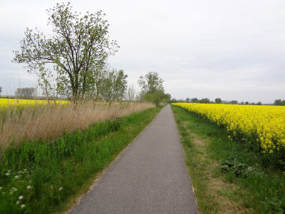 Radweg Haßleben-Werningshausen