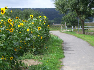 Radweg bei Heldrungen Radweg bei Heldrungen