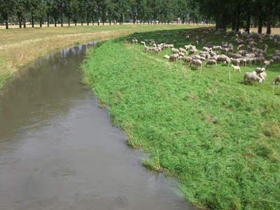 Radwegbrücke Bad Langensalza Radwegbrücke Bad Langensalza
