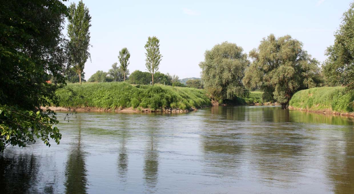 Unstrutmünding Naumburger Blütengrund