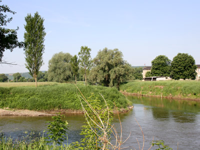 Unstut-Saale-Mündung Blütengrund Unstut-Saale-Mündung Blütengrund