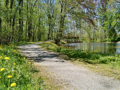 Radweg Parkteich Thalebra Radweg Parkteich Thalebra