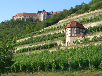 Weinstraße Saale-Unstrut